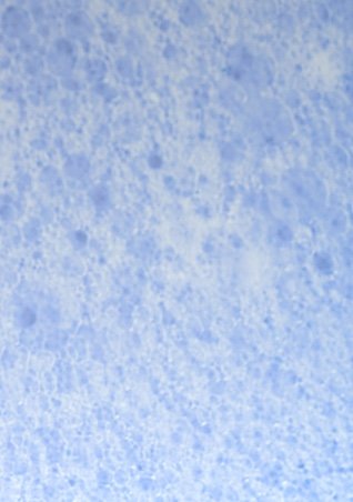 https://www.laroche-posay.ch/-/media/project/loreal/brand-sites/lrp/emea/ch/oncology/during-hairloss/lrp-oncology-2021-sitecore-during-during_hair_loss-flipcard6.jpg