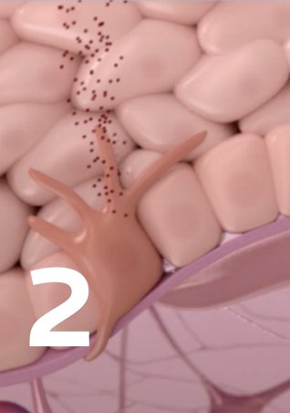 https://www.laroche-posay.ch/-/media/project/loreal/brand-sites/lrp/emea/ch/simple-page/landing-page/niacinamide-page/lrp-landing-niacinamide-2022-sitecore-website-skin-card2_recto.jpg