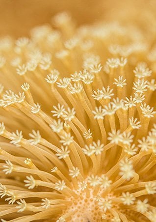 /-/media/project/loreal/brand-sites/lrp/emea/dach/ch/simple-page/landing-page/marine-life/anthelios-marine-life-landing-page/larocheposay-anthelios-marine-life-landing-page-salt-water.jpg?sc_lang=de-ch