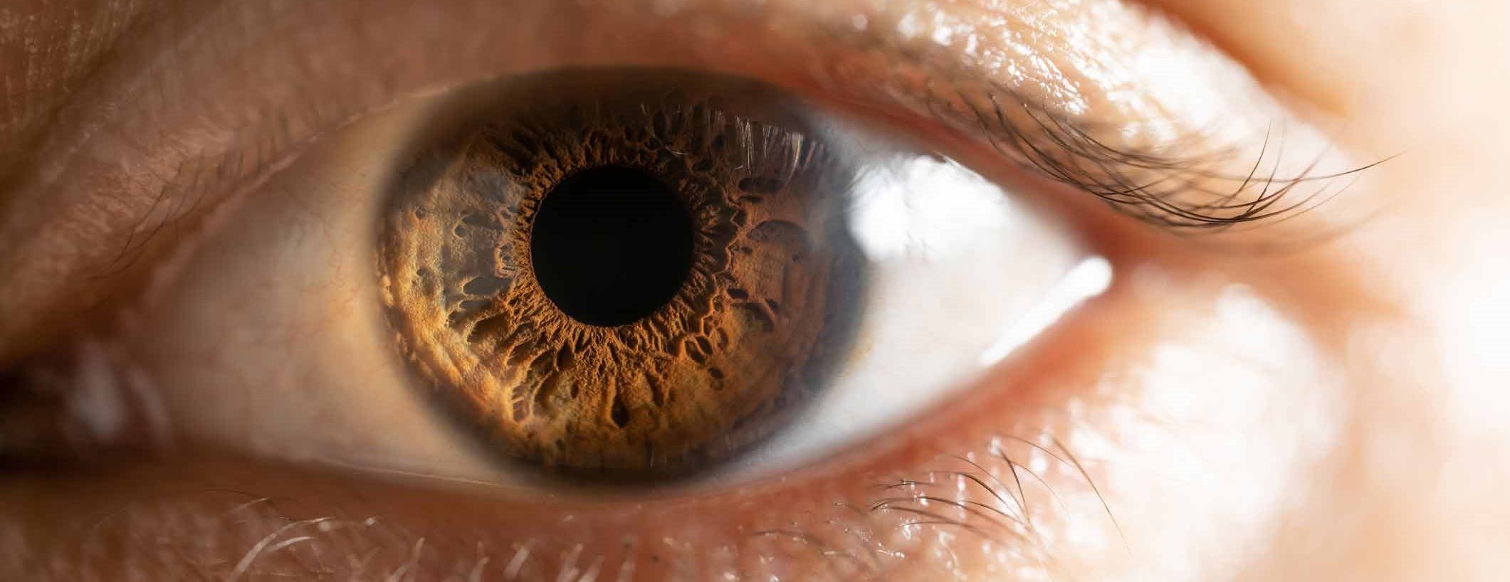 La mélanine, responsable de la couleur des yeux