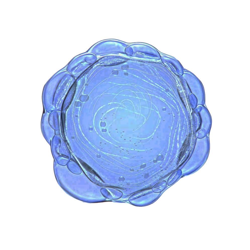 Représentation abstraite de la niacinamide