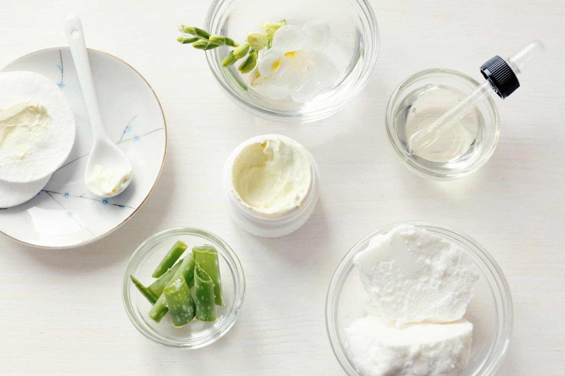 Verschiedene Inhaltstoffe von Körperpflege in kleinen Schälchen, darunter Sheabutter und Stückchen einer Aloe vera Pflanze